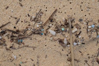 Lanikai - Microplastic Beach
